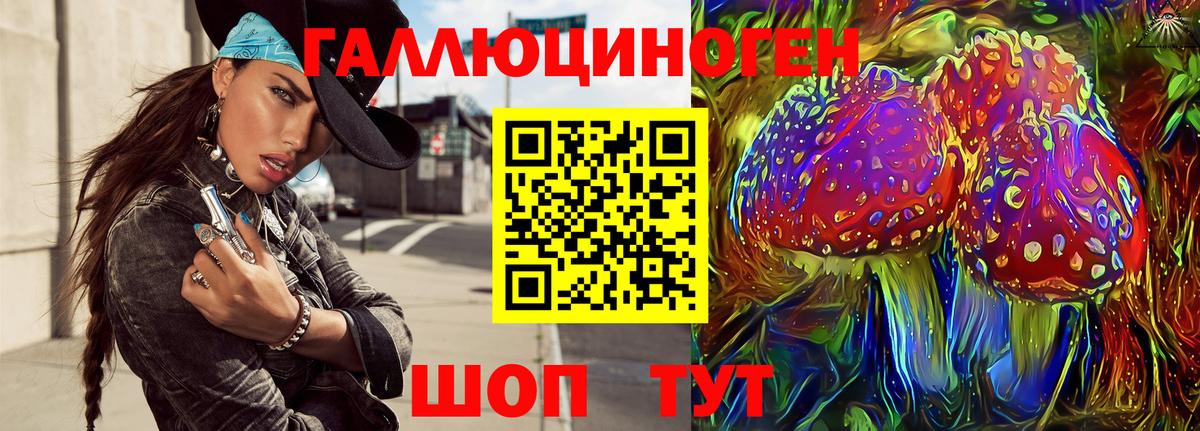 Псилоцибиновые грибы GOLDEN TEACHER  Галлюциногенные грибы мицелий  Вход с VPN  Ковров 